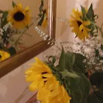 Guest house Aurelia Rome