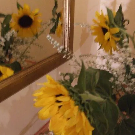 招待所 Aurelia 罗马